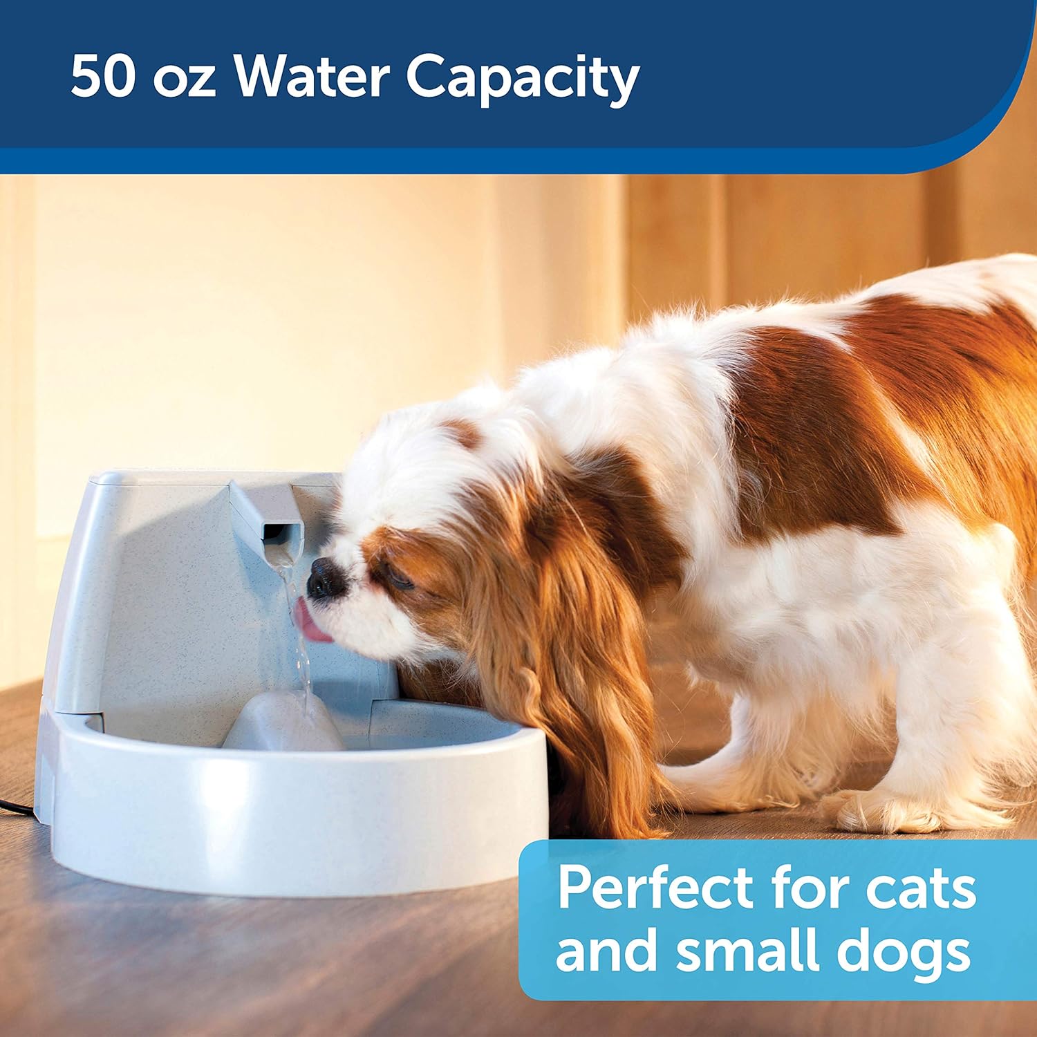 PetSafe Drinkwell Original or 1/2 Gallon Pet Water Fountain for Small Dogs