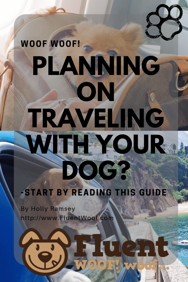 Planning On Traveling WIth Your Dog