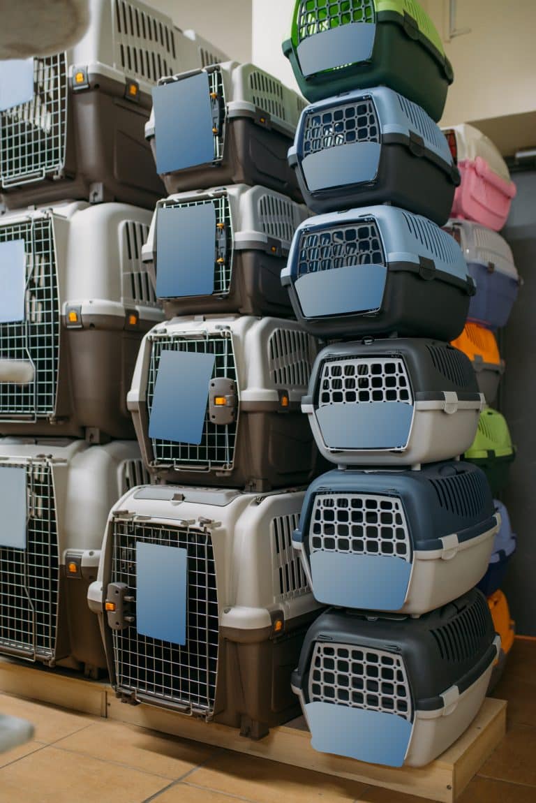 Traveling With Your Dog? Crates