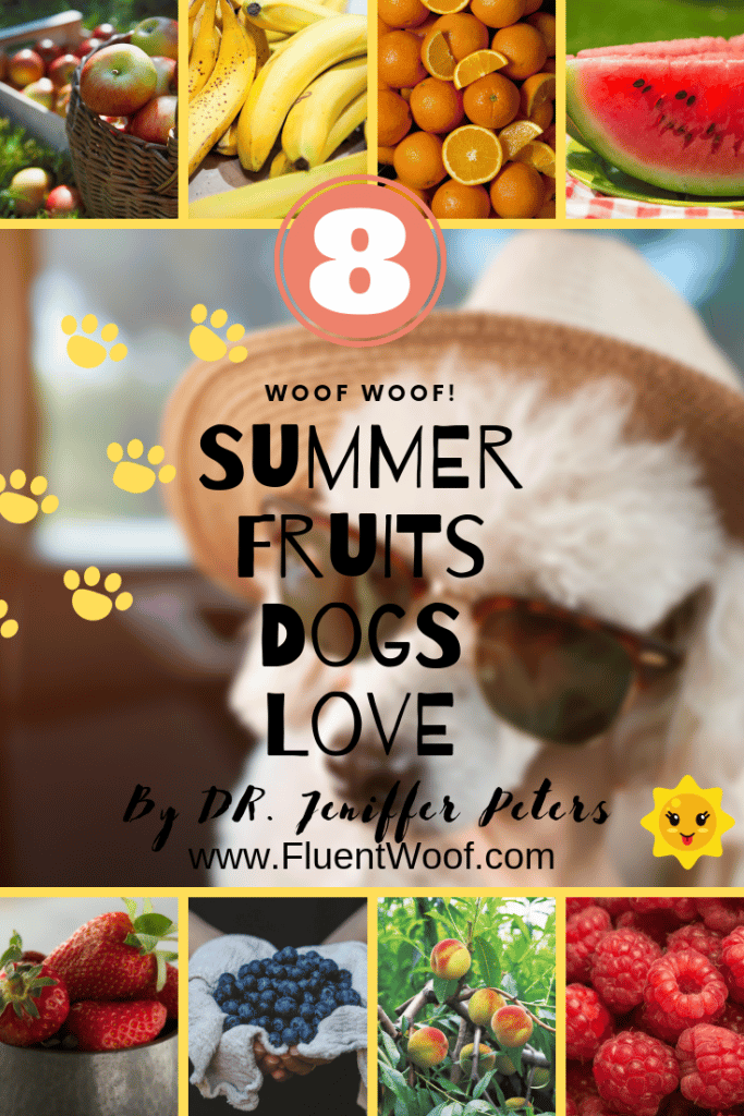 summer fruits that dogs can eat