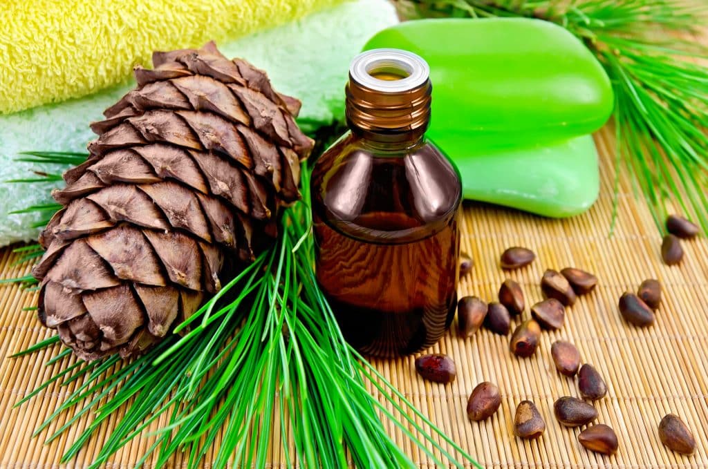 Essential Oils For Dogs : A Beginner's Guide