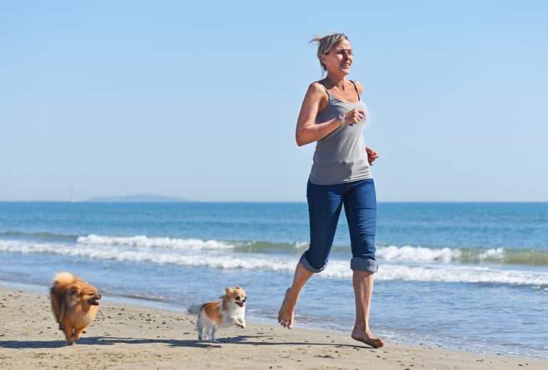 Here Are A Few Tips On How You And Your Dog Can Exercise Together