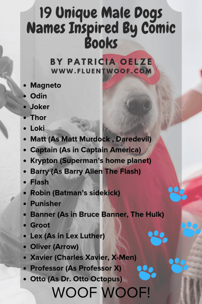 comic-book-inspired-dog-names-kahoonica