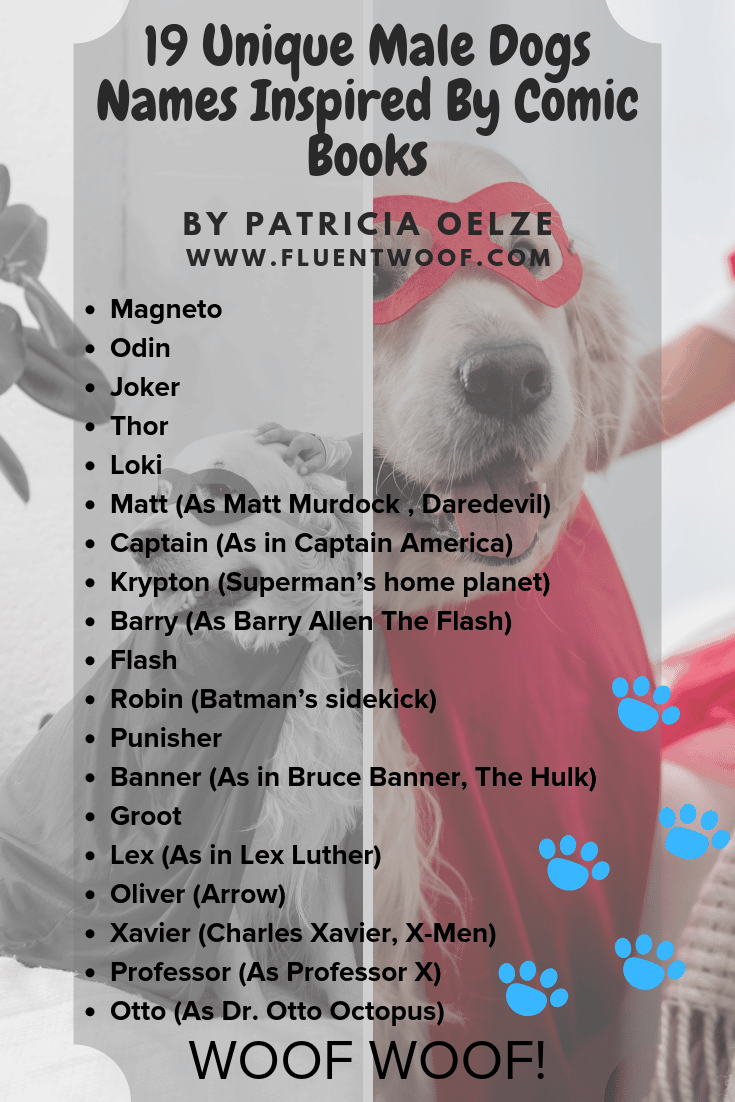 24 Unique Dog Names Inspired By Comic Books