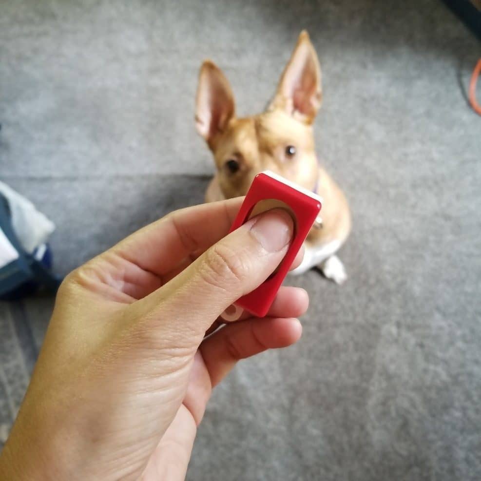 how do you use a dog clicker