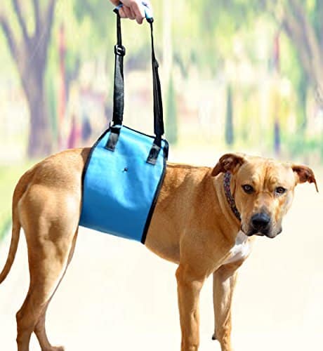 AMZpets Dog Lift Harness