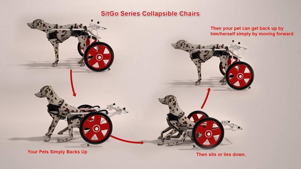Best Friend Mobility SitGo Dog Pet Wheelchair Revolution