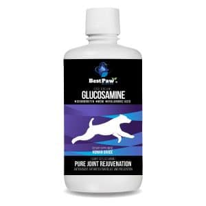 BestPaw Dog Dream Glucosamine
