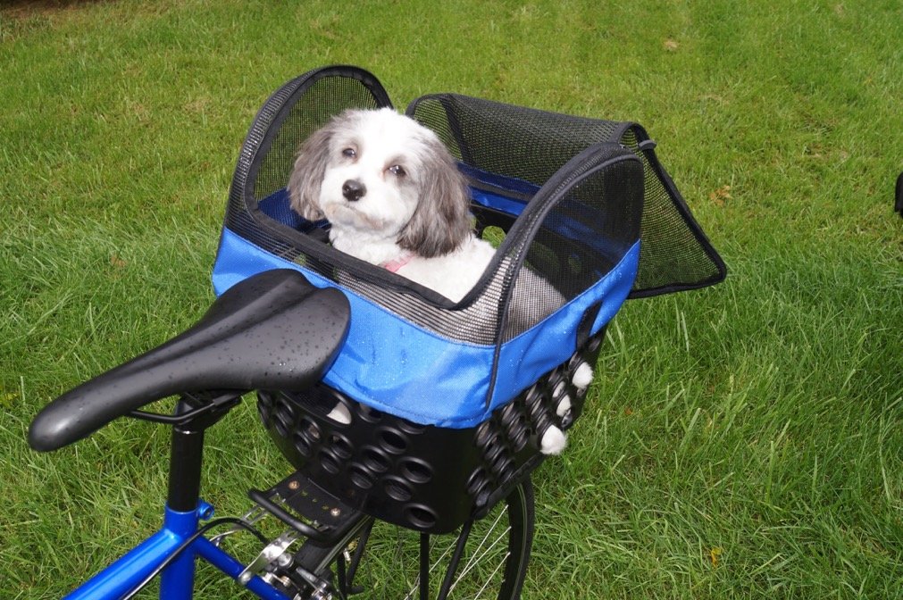BiKase Dairyman Rear Basket Pet Kit