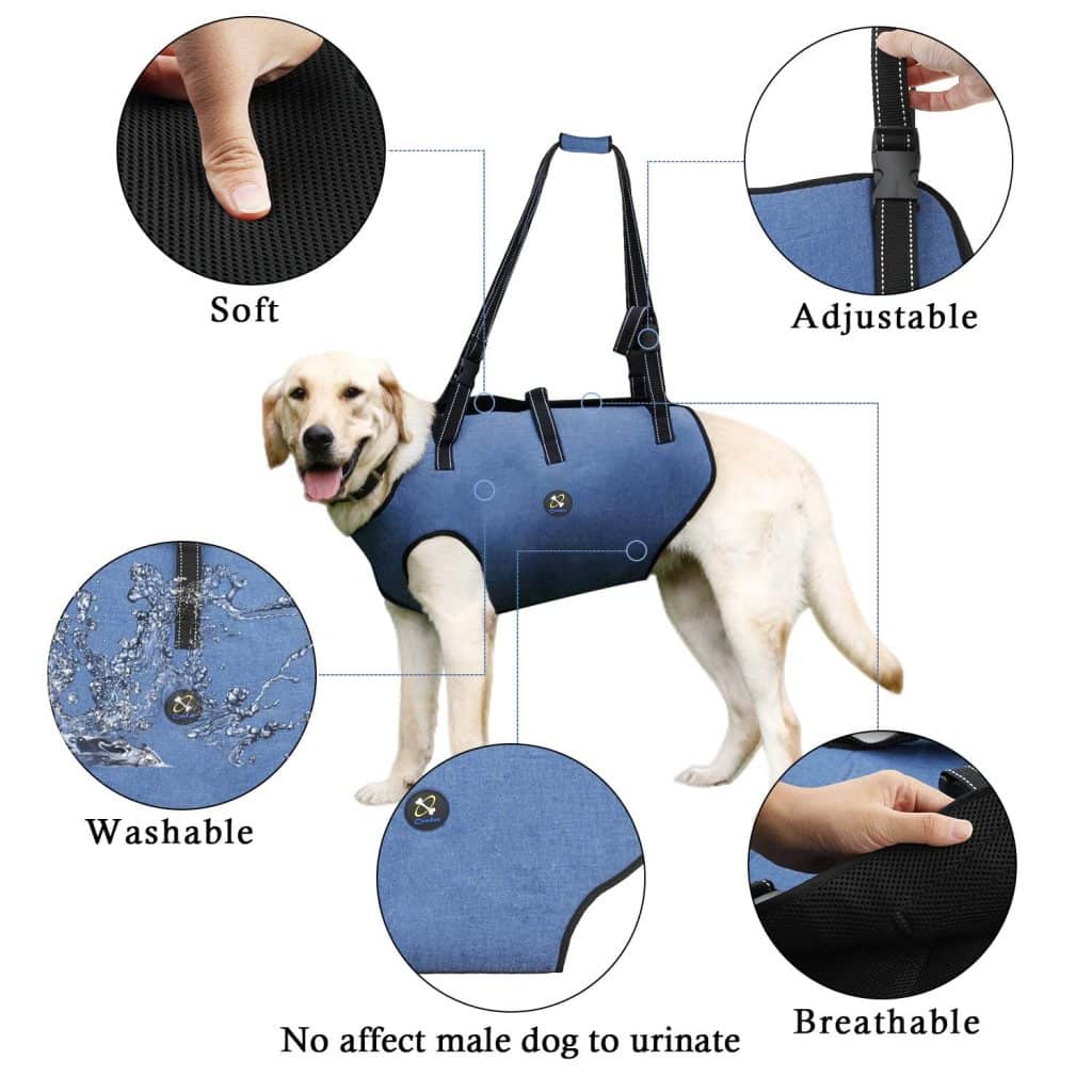 Coodeo Dog Lift Harness