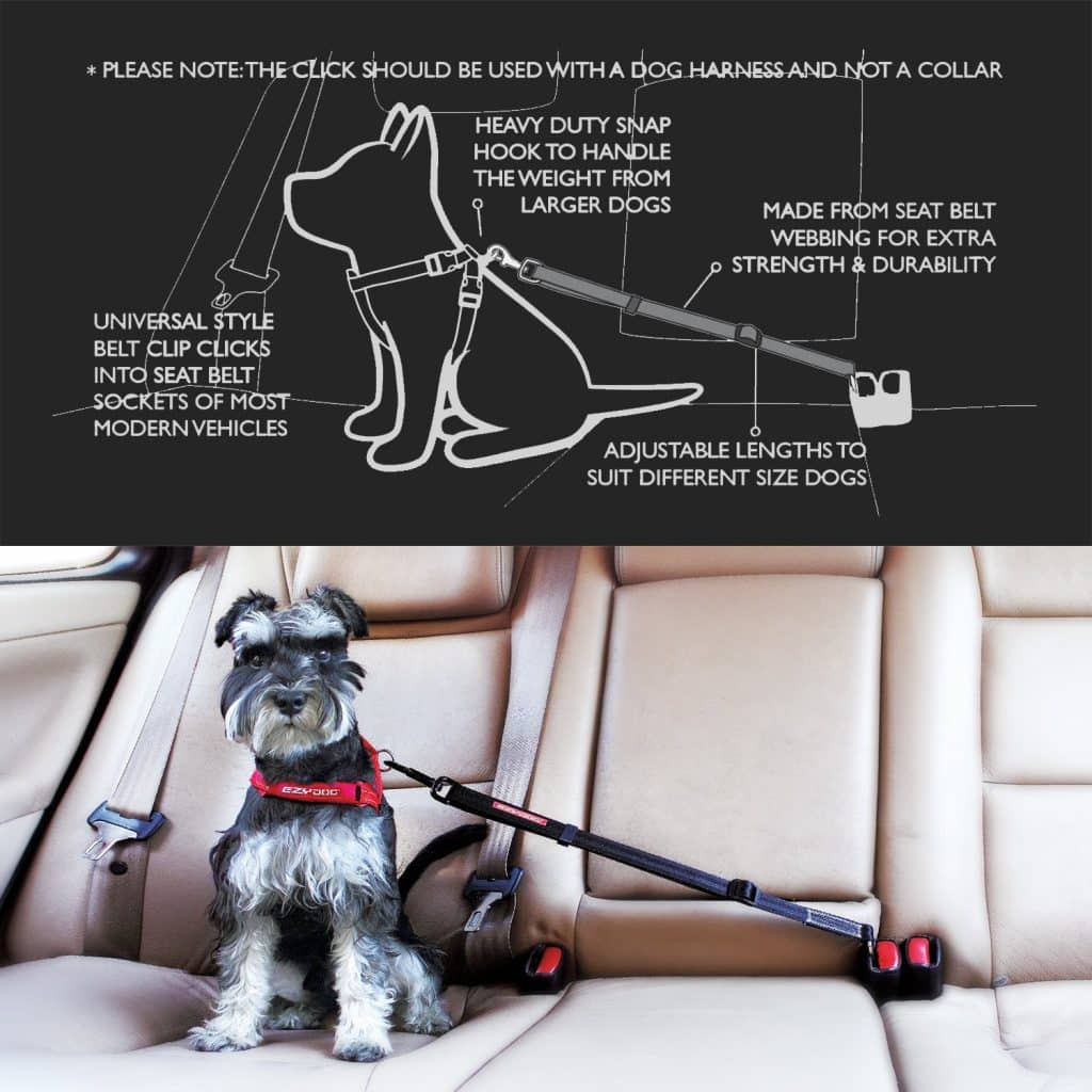 EzyDog CLICK - Best Dog Seat Belt Car Harness