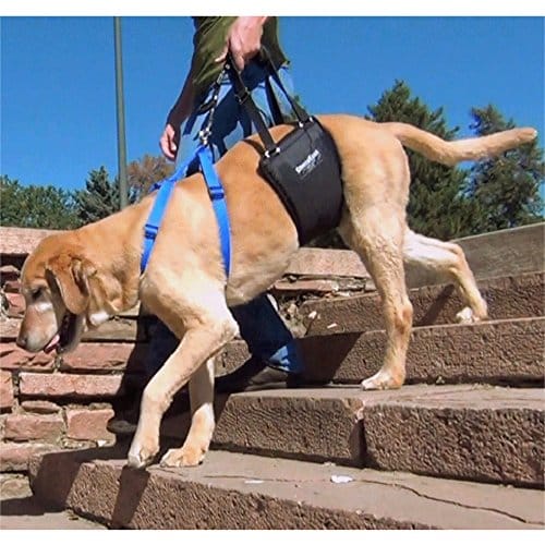 GingerLead Pet Support Rehabilitation Harnesses