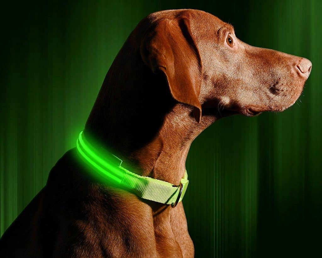 Glow In The Dark LED Dog Collar