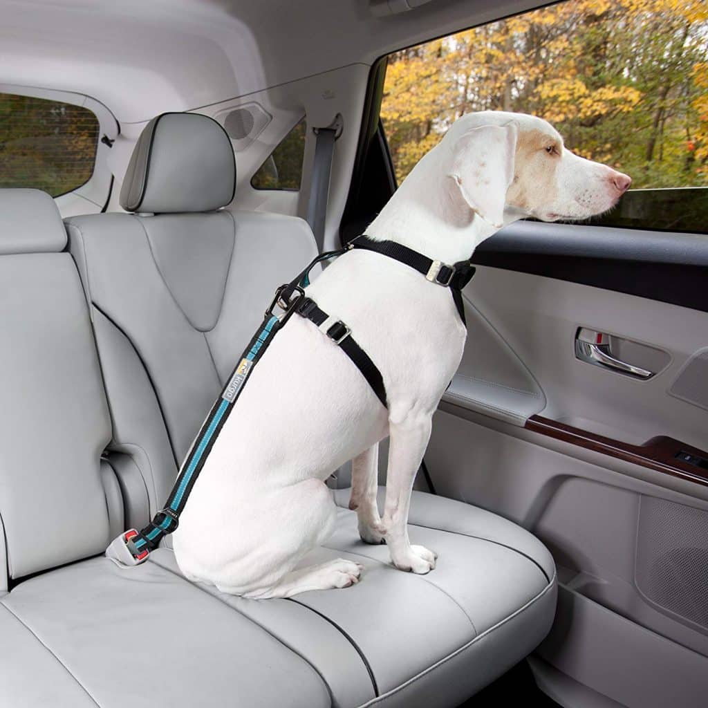Kurgo Seatbelt Tether for Dogs