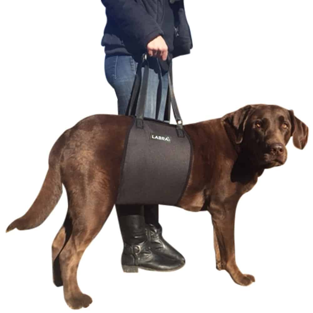 Labra Veterinarian Approved Dog Canine K9 Sling Lift