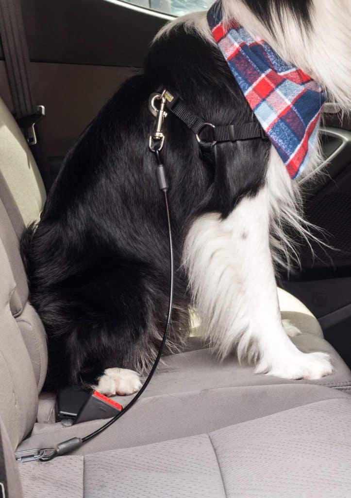 Leash Boss Dog Car Seat Belt Restraint