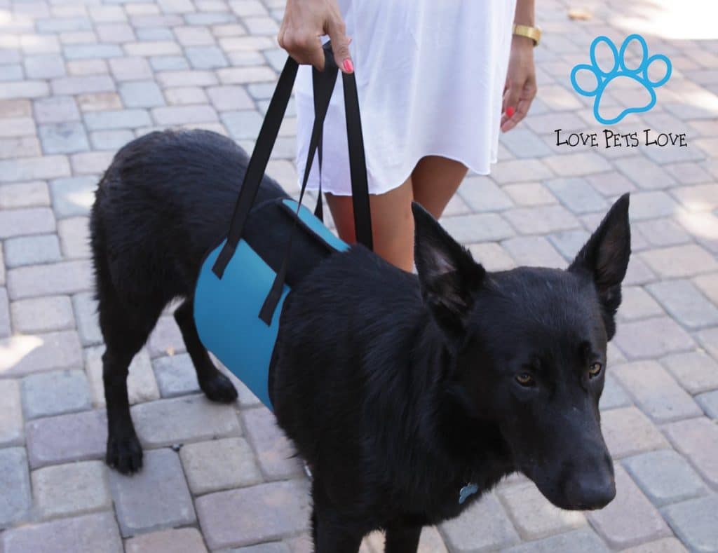 Love Pets Love Vet Approved Dog Lift