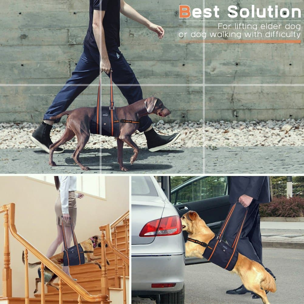 PETBABA Dog Lift Harness