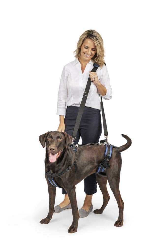 PetSafe Solvit Lifting Aid for Full Front and Back