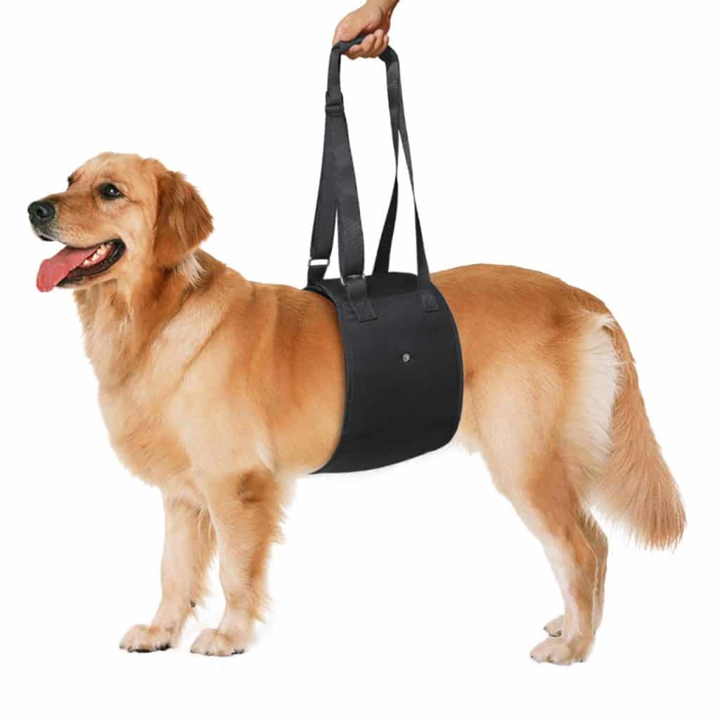 Petetpet Dog Lift Support Harness