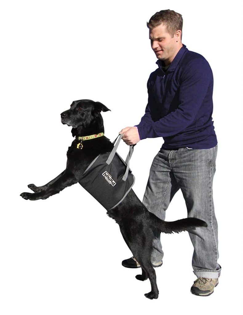 PupBoost Lift Harness for Dogs