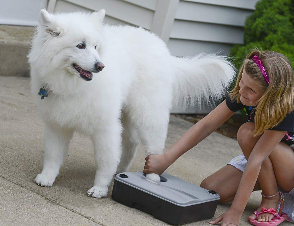 SKI Innovations Paw Boss Wash for Dogs