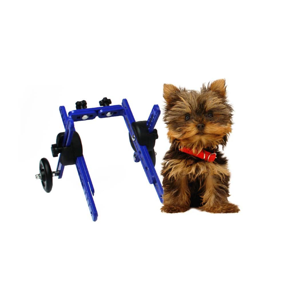Walkin' Wheels Dog Wheelchair -XS for Toy Breeds 2-10 lbs-Veterinarian Approved - Wheelchair for Back Legs