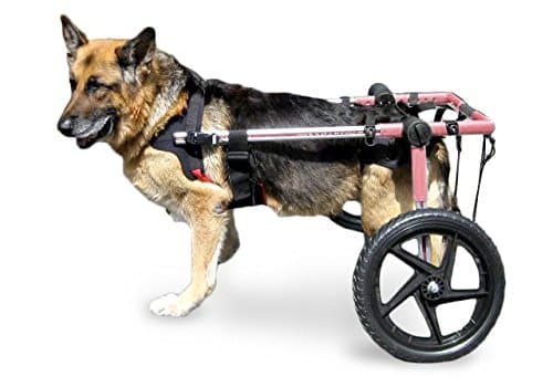 Walkin' Wheels Dog Wheelchair - for Large Dogs 70-180 lbs - Veterinarian Approved - Wheelchair for Back Legs