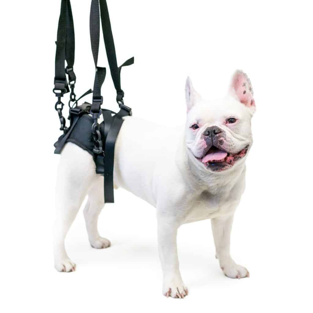 Walkin’ Rear Lift Mobility Harness