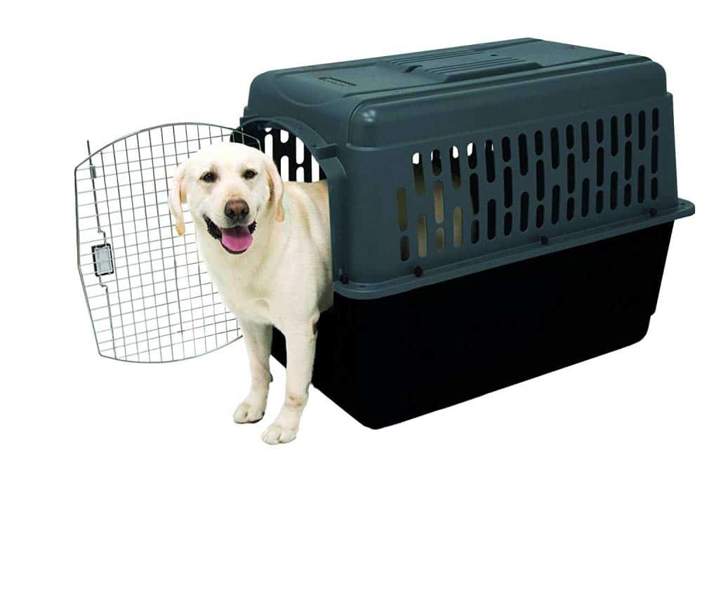 Aspen Pet Porter Heavy-Duty Pet Carrier