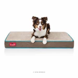Brindle Waterproof Designer Memory Foam Pet Bed