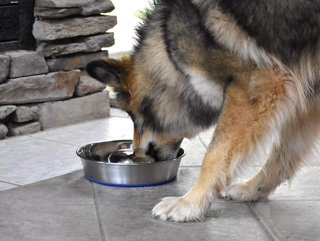Our Pets DuraPet Slow Feed Premium Stainless Steel Dog Bowl