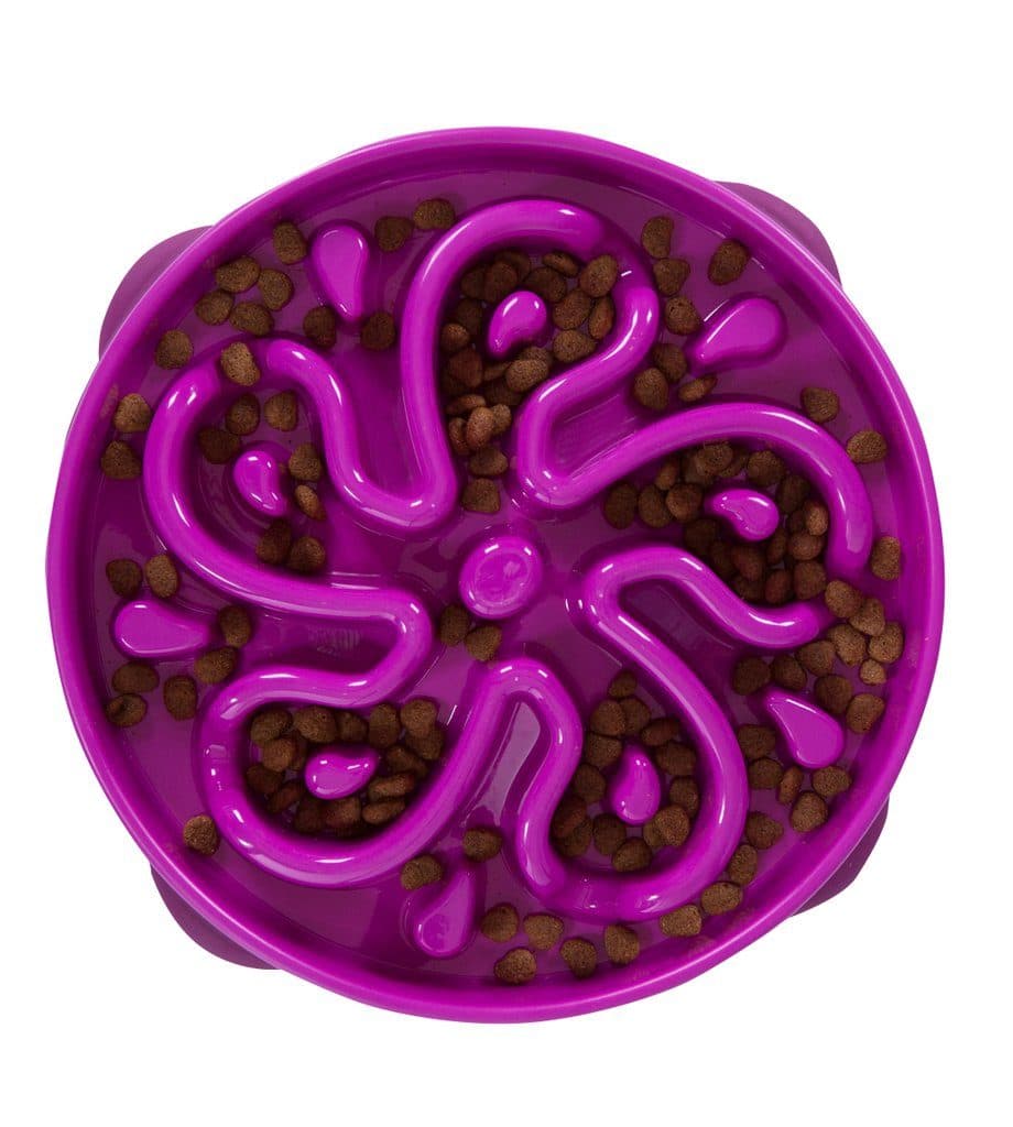 Outward Hound Fun Feeder Slo-Bowl Healthy Slow Feeding Dog Bowl