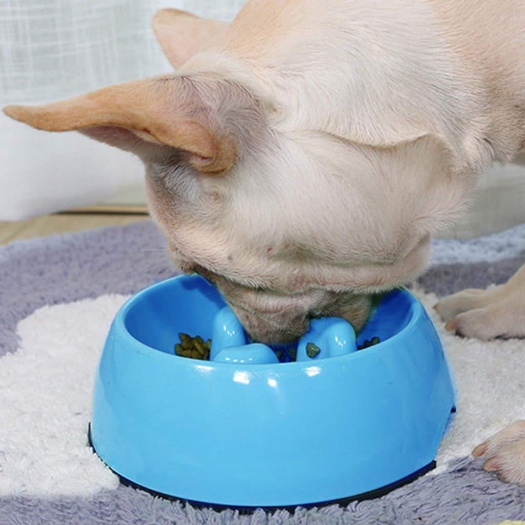 Super Design Anti-Gulping Dog Bowl Slow Feeder, Interactive Bloat Stop Pet Bowl for Fast Eaters