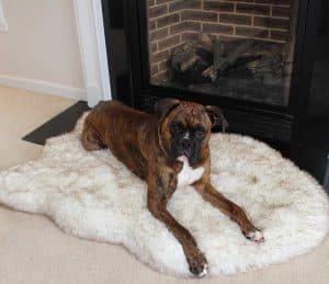 Treat A Dog PupRug Faux Fur Memory Foam Orthopedic Dog Bed