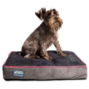 better world pets Orthopedic Dog Bed Pure Premium Shredded Memory Foam Ideal for Aging Dogs