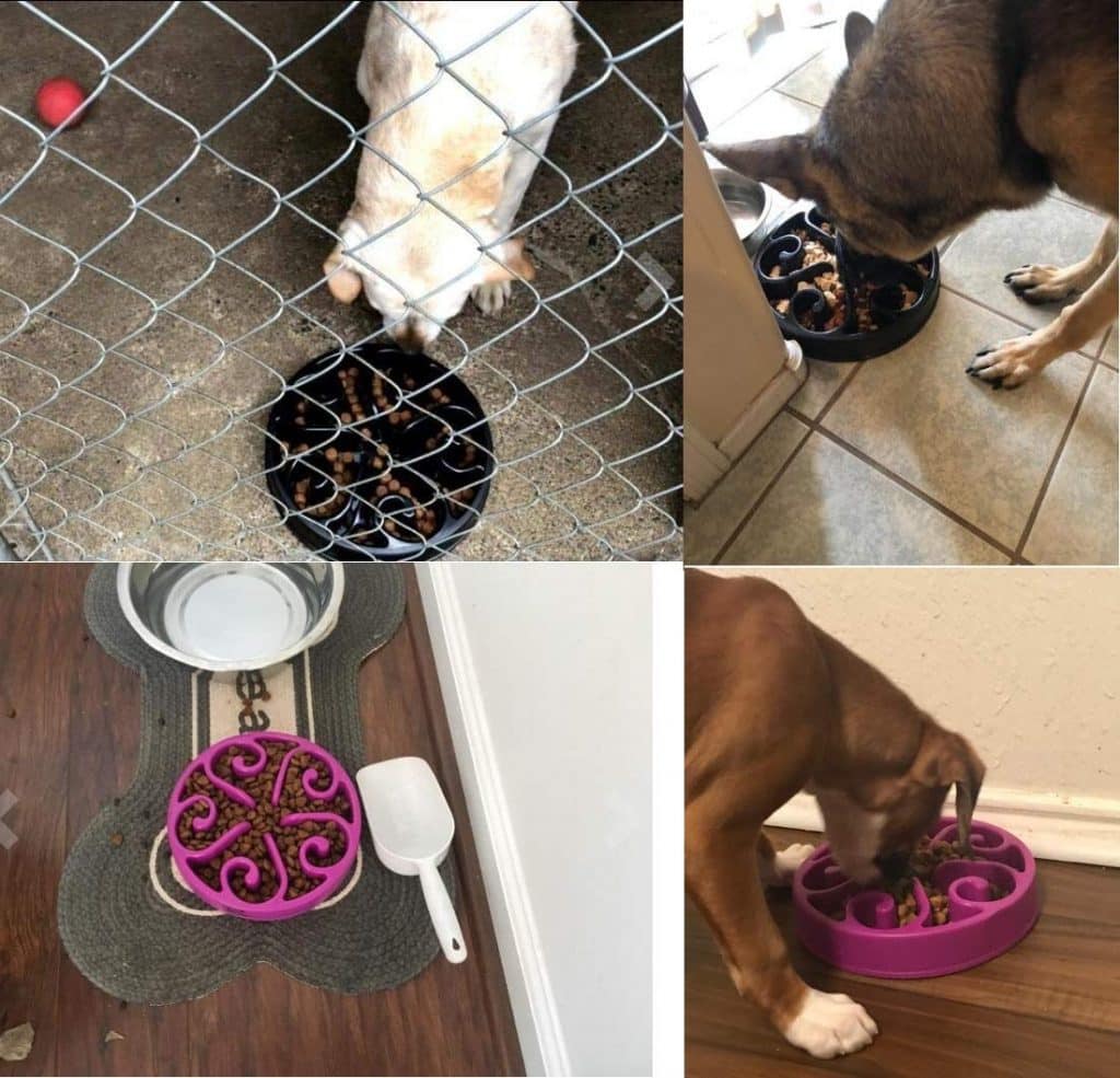 freefa Slow Feeder Dog Bowl