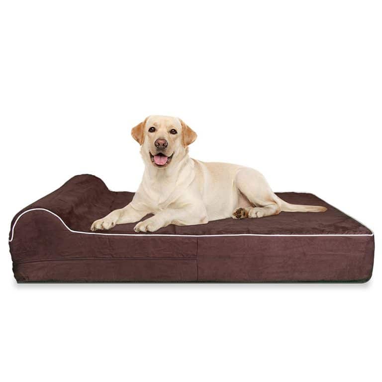 kopeks Orthopedic Memory Foam Dog Bed With Pillow and Easy to Wash Removable Cover with Anti-Slip Bottom