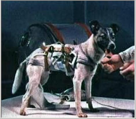 when was laika sent to space