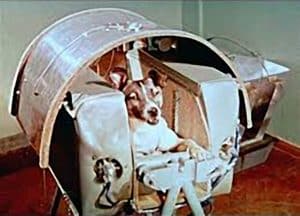 Laika the first dog in space