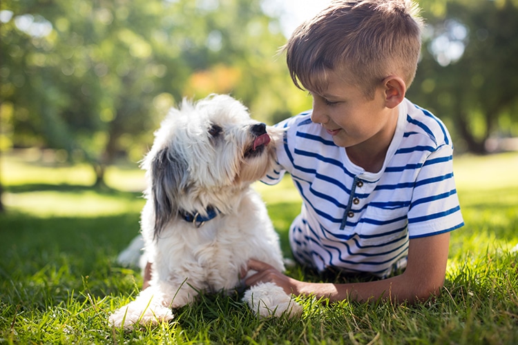 Owning a Dog May Help Protect Children From Allergies