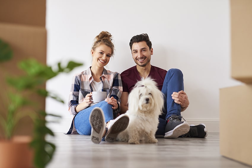 Introduce Your Dog To Their New Home