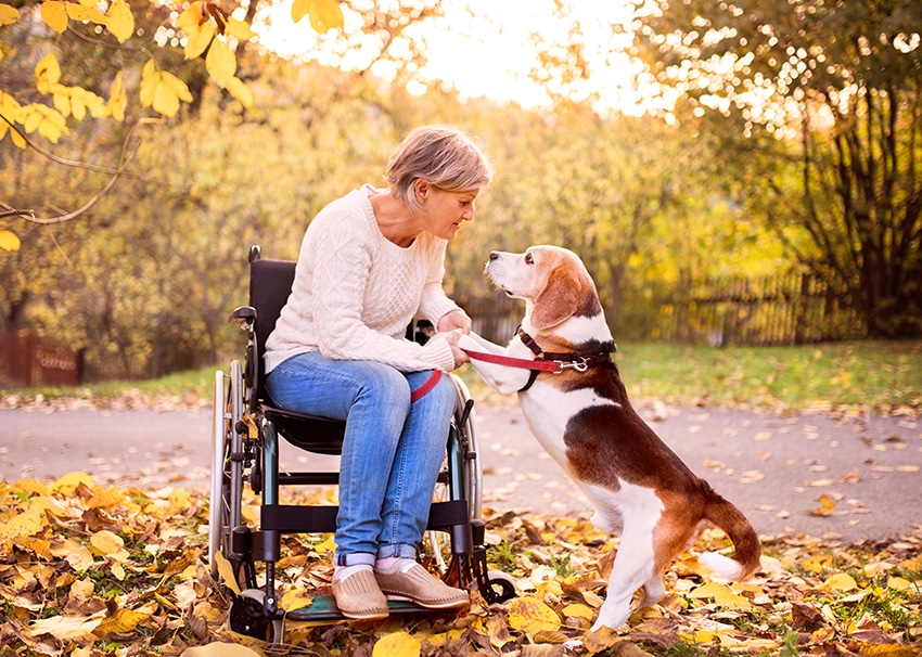 benefits of having a dog - therapy