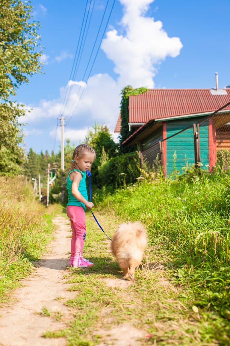 dog Can Help An Only Child