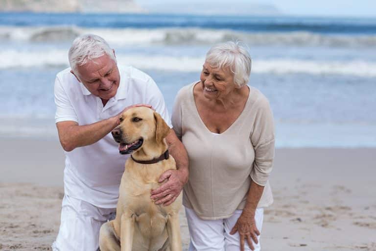 dog Increases seniors Mobility and Independence