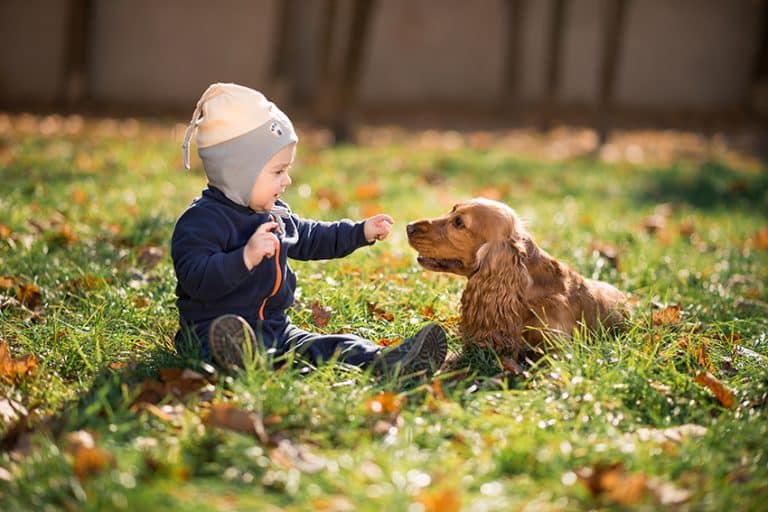 dog Teaching Respect