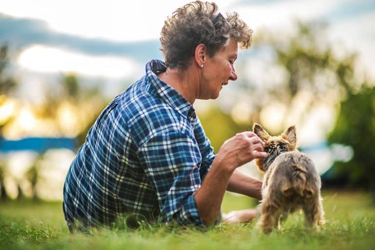 dog help seniors to Ease Anxiety and Pain