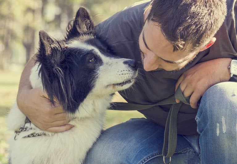 dog help with Addiction Recovery