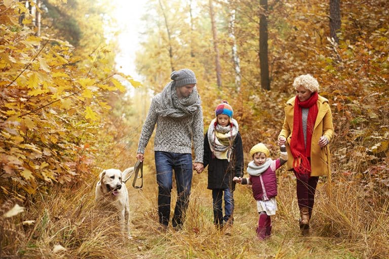 dog help with Family Bonding Time