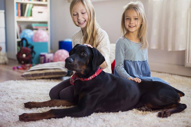 dogs Teach Kids About Loyalty